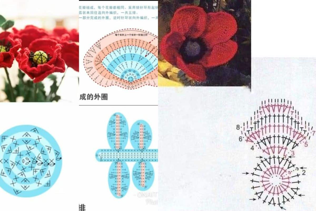 Accessoires de Coquelicot au Crochet 5