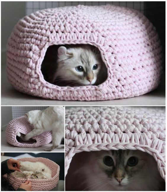 Crochet chat grotte