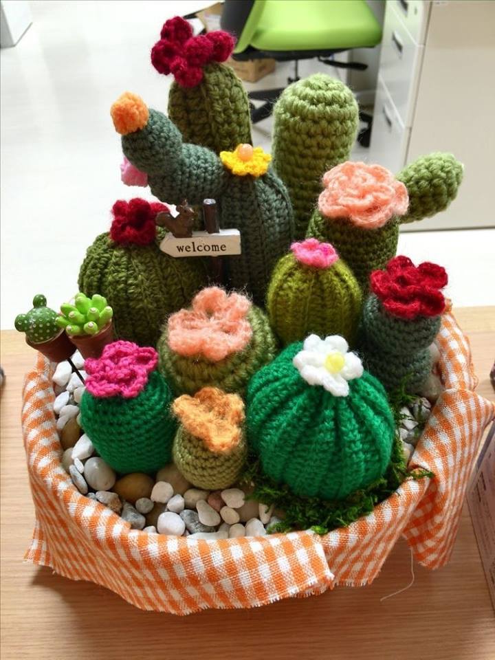 Idées Cactus Crochet 1