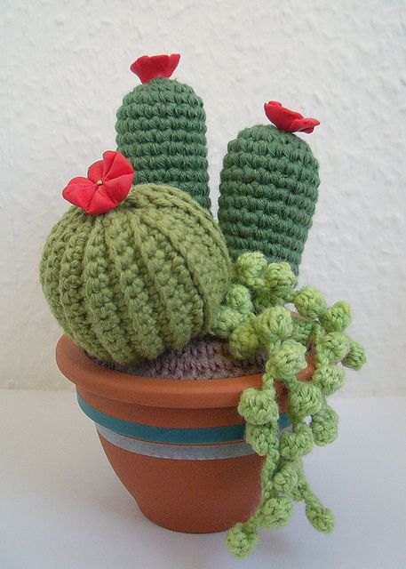 Idées Cactus Crochet 5