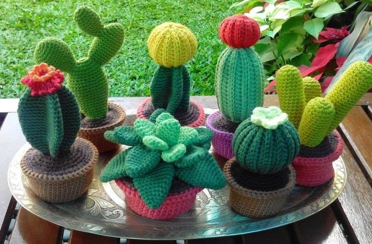Idées Cactus Crochet