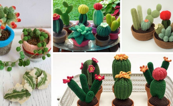 15+ Idées de Cactus au Crochet