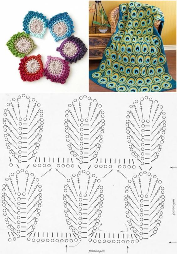 Modèles Paon Crochet 3