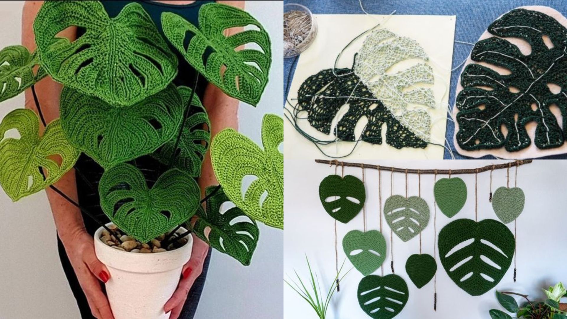 Tutoriel Plante Monstera au crochet