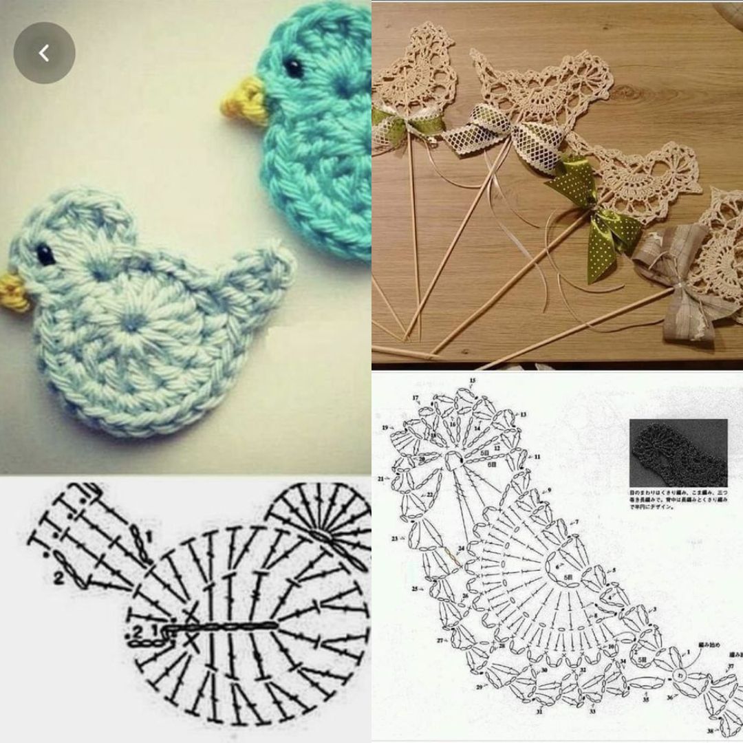 applications oiseaux au crochet avec graphismes 7