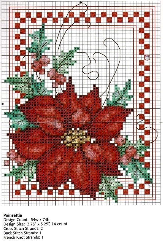 fleur de noel au point de
