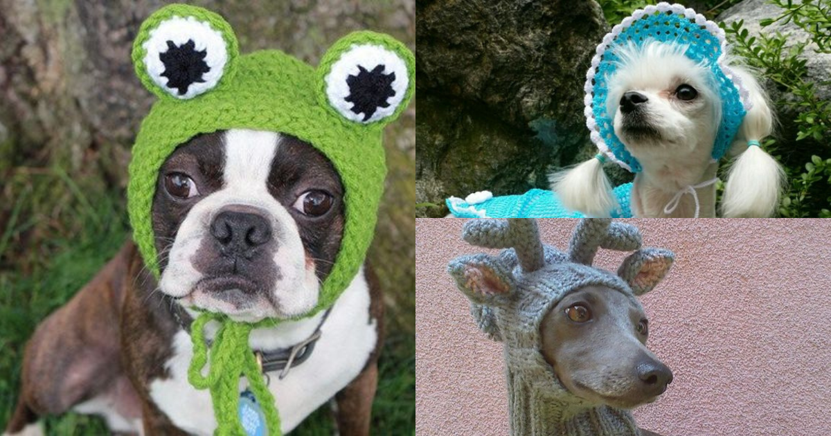 idees de chapeau amusantes pour chiens crochet