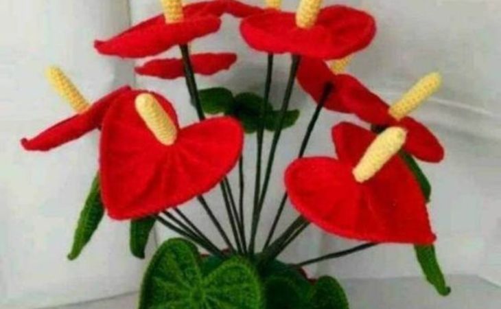 15+ Modèles de fleurs au crochet-Graphiques