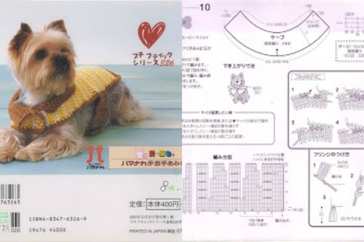 vetements tricotes pour chien avec motifs 9